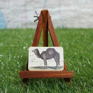  new goods * interior small articles *[ magnet ]Camel| camel -hitokob camel -