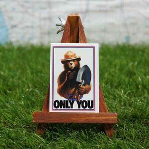  new goods * interior small articles *[ magnet ]Smokey Bear| smoky Bear Only You