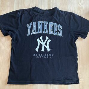 MLB NYヤンキース Tシャツ 150