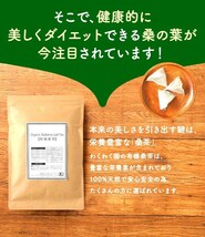 ★現品限り★1コ【新品◇送料無料◇匿名】有機 桑の葉 ティーバッグ＊100包／桑茶 くわ茶 オーガニックマルベリー＊ノンカフェイン サプリ_画像3