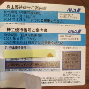 ANA　全日空　株主優待券２枚　５月31日まで