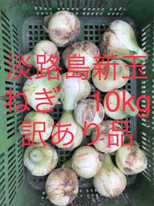 淡路島玉ねぎ　10kg 訳あり　10kg 