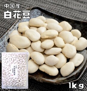 大白花芸豆（白花豆） 1kg まめやの底力 中国産 白花美人 白インゲン 花豆 インゲン豆 しろはなまめ 乾燥豆 豆類 和風食材 生豆