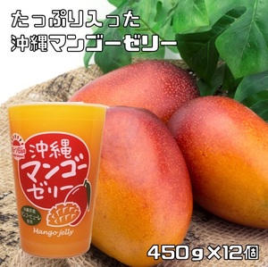 沖縄マンゴーゼリー 450g×12個 フルーツ日和 北海道物産 プチギフト スイーツ 国産 国内産 ビック ジャンボ デカゼリー