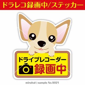 ドライブレコーダー ステッカー チワワ 犬 録画中 車 防犯 カメラ 煽り運転