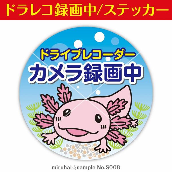 ドライブレコーダー ステッカー ウーパールーパー 魚 録画中 車 防犯 カメラ