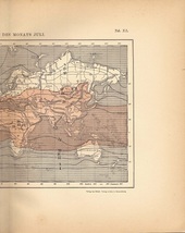 大き目　1890年代　アンティークプリント　7月の等温線図　気象　自然科学　_画像3