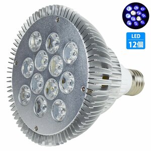 [青10白2] 24W(2W×12) 電球 E26 口金 水槽 用 照明 植物育成 スポット ライト 12LED アクアリウム 電球 水草 サンゴ 熱帯魚