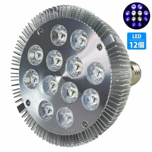 [青8白4] 24W(2W×12) 電球 E26 口金 水槽 用 照明 植物育成 スポット ライト 12LED アクアリウム 電球 水草 サンゴ 熱帯魚