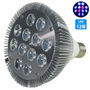 [青10赤2] 24W(2W×12) 電球 E26 口金 水槽 用 照明 植物育成 スポット ライト 12LED アクアリウム 電球 水草 サンゴ 熱帯魚