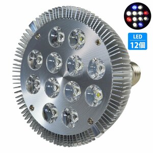 [白8/青2/赤2] 24W(2W×12) 電球 E26 口金 水槽 用 照明 植物育成 スポット ライト 12LED アクアリウム 電球 水草 サンゴ