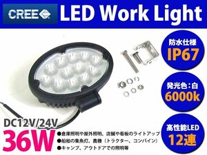 CREE社製 高品質 LEDワークライト 12v/24v 36w デッキライト 作業灯 6000k ホワイト発光 防水 オフロードランプ SUV ルーフランプ