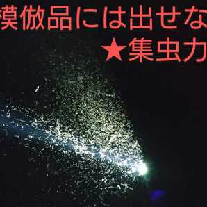 【今峰製】冷却ファン不要 ワット数調整可 調整範囲最小52ｗ～最大93w程度 紫外線放出 HID ライトトラップ 灯火採集 今峰ライト の画像4