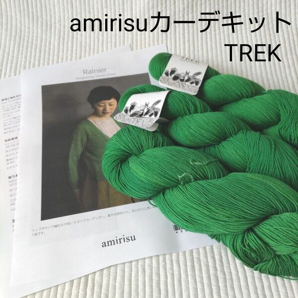 RAINIER キット/amirisu/TREK/カーディガン/手染め毛糸