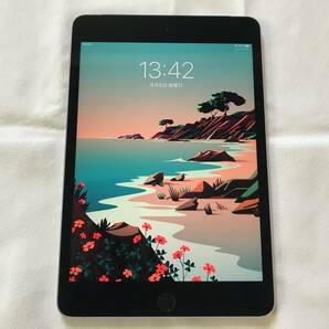 Apple iPad mini 4 Wi-Fi ＋ Cellular 32GB スペースグレイ SIMフリー バッテリー 94% カーナビ代わり Space Grey