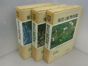 原色日本植物図鑑 草本編　上中下巻　保育社