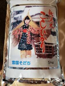 . peace . year production Niigata prefecture production Koshihikari inspection rice 5kg×5 sack ( white rice )