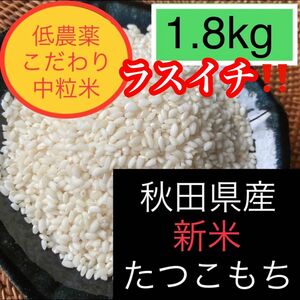 新米こだわり中粒米◎低農薬もち米　新米たつこもち【白米】1.8kg