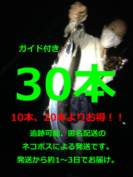 ◆ タチウオ 大サバ ◆ ウキ釣り 超軽量ロング仕掛け 30本＋必釣ガイド