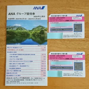 最新 ANA 株主優待券 株主割引券 (2枚セット) 送料無料