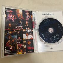 DVD Whiteberry Videoberry final~the all the Clips of Whiteberry _画像3