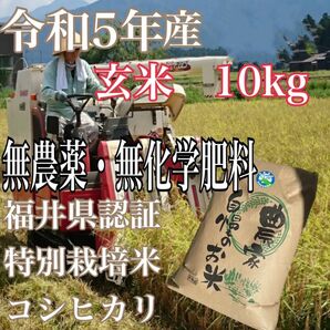 無農薬　無化学肥料　令和5年産コシヒカリ 玄米 10kg　