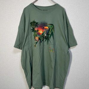 アニマル　半袖Tシャツ　オニオオハシ　は虫類　カエル　モスグリーン47 古着　入手困難　激レア　希少 人気　ビッグサイズ　ゆるだぼ