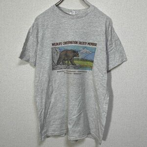 デルタ　半袖Tシャツ　クマ　アニマル　ベアー　霜降りグレー　ボタニカル74 古着　入手困難　激レア 人気 山　自然　アウトドア