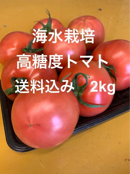 【シーズン終盤値引】海水栽培　高糖度トマト　大分県産　2kg