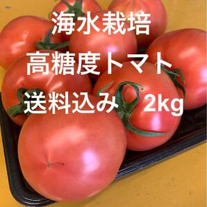 【シーズン終盤値引】海水栽培　高糖度トマト　大分県産　2kg