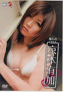 ◆新品DVD★『京本有加　捕らわれUMA』LPFD-138 グラビア アイドル 京本有加★