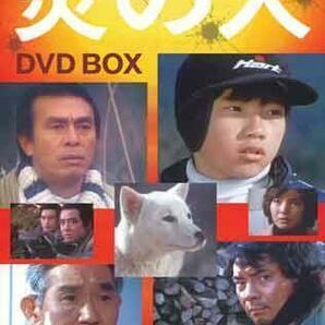 ◆中古DVD★『炎の犬 DVD BOX』夏江麻岐 高橋悦史 三ツ矢歌子 松田洋治 平泉征 池広一夫 小坂敬 西村寿行 白井更生 杉村尚美 矢島正明★1円の画像1