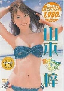 ◆新品DVD★『山本梓 あず ボルネオ滞在記』 グラビア アイドル YMLP-6★