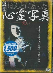 ◆新品DVD★『ほんとにあった心霊写真 -呪い-』LPMD-2T 幽霊 ホラー★1円
