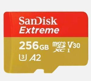 4K 対応　マイクロsd microSD 256GB エクストリーム　microSD 256GB SanDisk サンディスク Extreme 