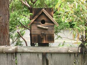 triangle roof nest box 