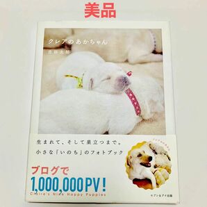 超美品 クレアのあかちゃん 吉田太郎 ラブラドール レトリバー