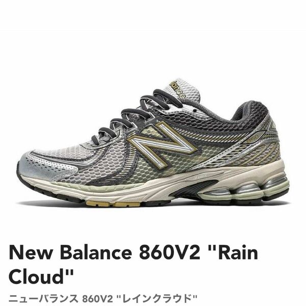 新品未使用 New Balance 860V2 "RainCloud"ニューバランス 860V2 "レインクラウド！！国内正規品