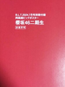 592 櫻坂46 二期生 両面超ビッグポスター B.L.T.