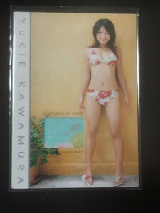 川村ゆきえ 250枚限定 ビキニカード 2004年 さくら堂 グラビア 水着 アイドル トレカ トレーディングカード