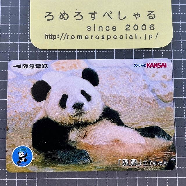 2025年最新】Yahoo!オークション -王子動物園 パンダの中古品