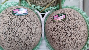 . after green melon large sphere!!!.. for free shipping 