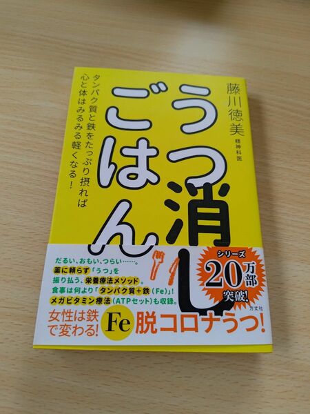 うつ消しごはん　タンパク質と鉄をたっぷり摂れば心と体はみるみる軽くなる！ 藤川徳美／著