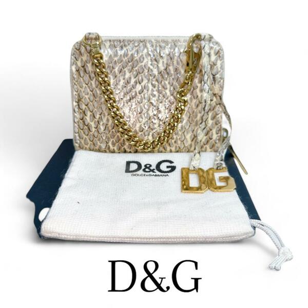 D&G 財布　コインケース　パイソン　ヘビ皮　チェーン付き　箱付き