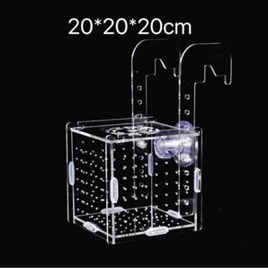 水槽　組立式　繁殖箱　隔離ボックス　隔離ケース　産卵箱　20＊20＊20cm