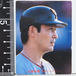 81年 カルビー プロ野球カード No.350【山倉 和博 捕手 読売ジャイアンツ 巨人】昭和56年 1981年 Calbee おまけ 食玩【中古】送料込