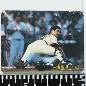 83年 カルビー プロ野球カード No.563【山倉 和博 読売ジャイアンツ巨人】昭和58年 1983年 当時物 Calbee おまけ 食玩 BASEBALL【中古】