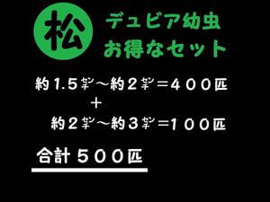 [ maru matsu ферма (. насекомое .)] всего 500 шт ( примерно 1.5.~ примерно 2.=400 шт + примерно 2.~ примерно 3.=100 шт )te. Via личинка 