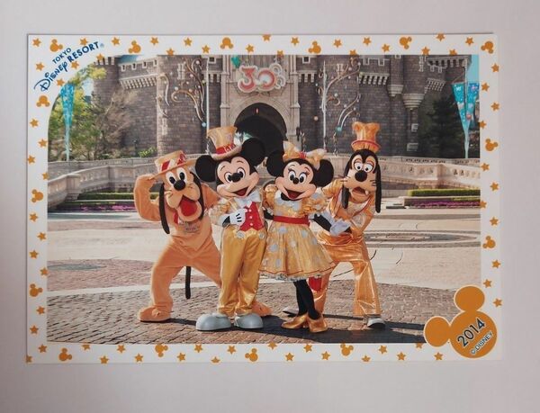 ディズニーランド　スペシャルフォト　30周年　スペフォ　集合写真　旧フェイス　ミッキー　 ミニー　実写