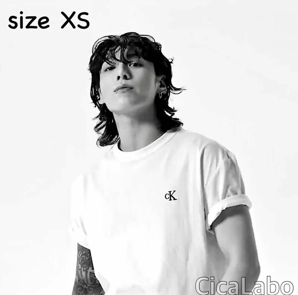 【新品】カルバンクライン Tシャツ CKロゴ 白 XS